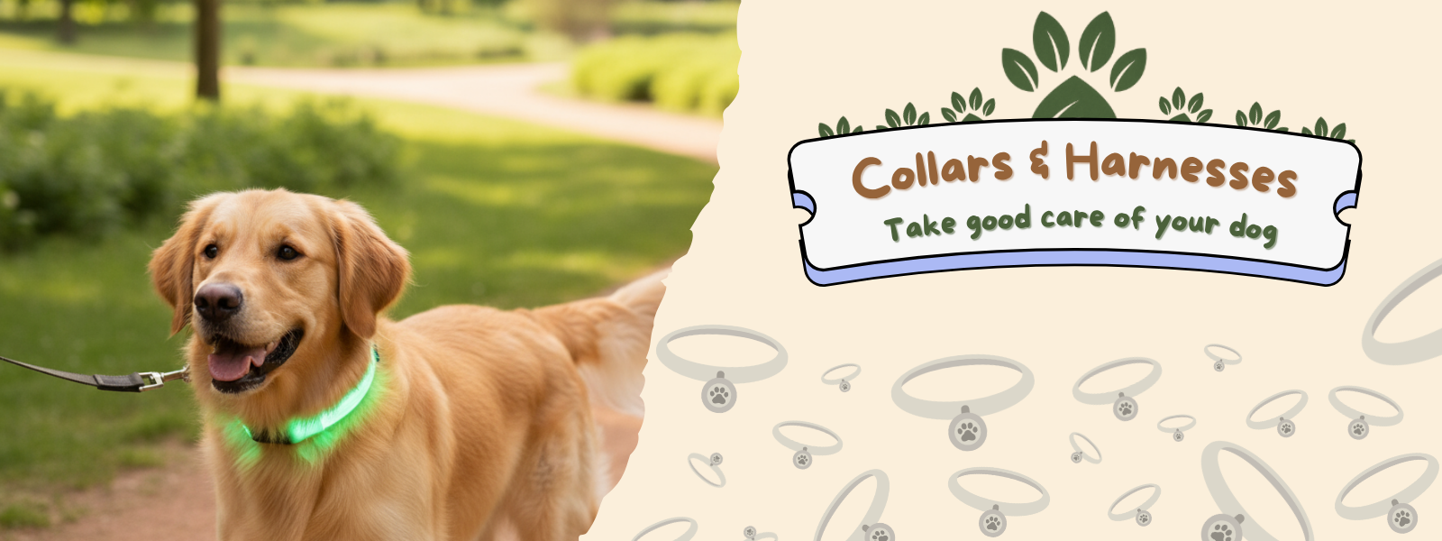 Collars, Harnesses & Leashes