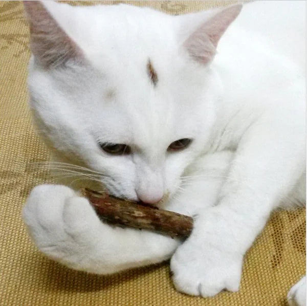 Natural Cat Chew Sticks with Fruit Flavor
